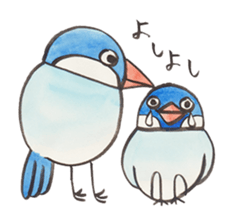 Soliloquence of Java sparrow sticker #14018095