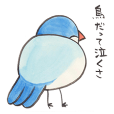 Soliloquence of Java sparrow sticker #14018100