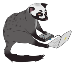 Ciki Civet (Asian Palm Civet) sticker #14018522