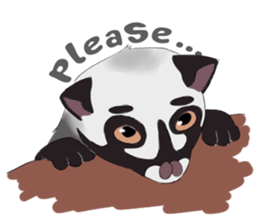 Ciki Civet (Asian Palm Civet) sticker #14018524