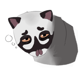 Ciki Civet (Asian Palm Civet) sticker #14018525