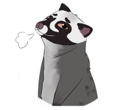Ciki Civet (Asian Palm Civet) sticker #14018526