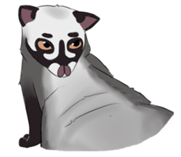 Ciki Civet (Asian Palm Civet) sticker #14018527