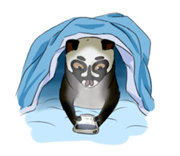 Ciki Civet (Asian Palm Civet) sticker #14018534