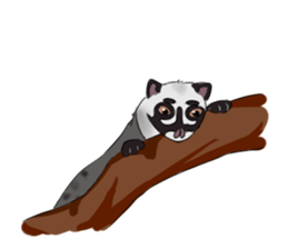 Ciki Civet (Asian Palm Civet) sticker #14018541