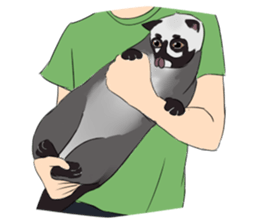 Ciki Civet (Asian Palm Civet) sticker #14018543