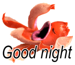 Little horror Octopus weenie sticker #14019052