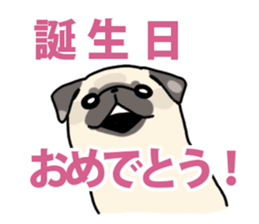 The celebrating pug sticker #14019295