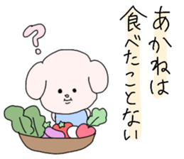 akane white dog sticker #14019480