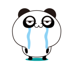 Panda?Panda!Panda!(Overseas edition) sticker #14019760