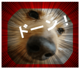 dog of Feeling It's so.! sticker #14019874