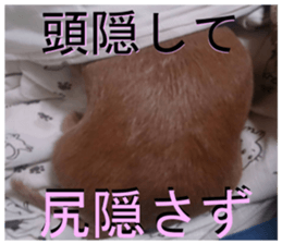 dog of Feeling It's so.! sticker #14019875