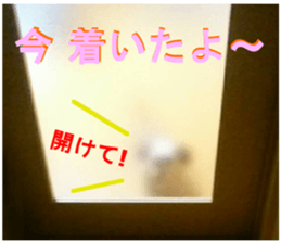 dog of Feeling It's so.! sticker #14019877