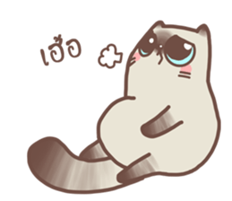 Nong Sri fat cat sticker #14020204