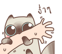 Nong Sri fat cat sticker #14020213