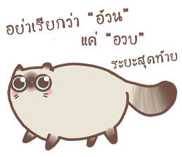 Nong Sri fat cat sticker #14020217