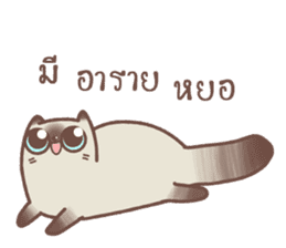 Nong Sri fat cat sticker #14020218