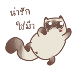 Nong Sri fat cat sticker #14020219