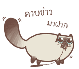 Nong Sri fat cat sticker #14020221