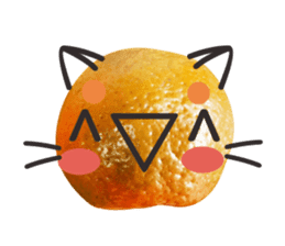 Orange Orange cat Of your oranges sticker #14020926