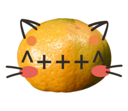 Orange Orange cat Of your oranges sticker #14020927