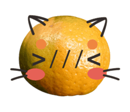Orange Orange cat Of your oranges sticker #14020928