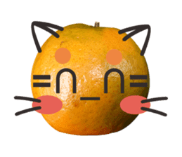Orange Orange cat Of your oranges sticker #14020929