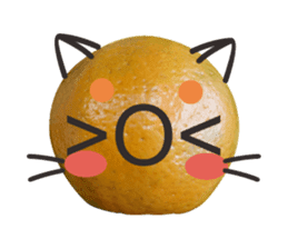 Orange Orange cat Of your oranges sticker #14020932