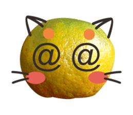 Orange Orange cat Of your oranges sticker #14020933