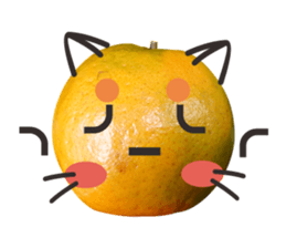 Orange Orange cat Of your oranges sticker #14020936
