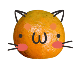 Orange Orange cat Of your oranges sticker #14020938