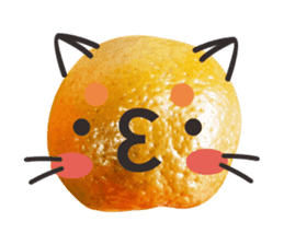 Orange Orange cat Of your oranges sticker #14020939