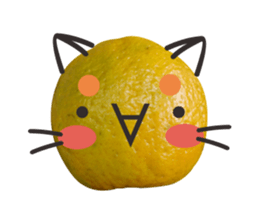 Orange Orange cat Of your oranges sticker #14020941
