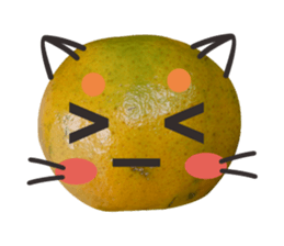 Orange Orange cat Of your oranges sticker #14020942