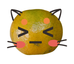 Orange Orange cat Of your oranges sticker #14020942