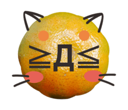 Orange Orange cat Of your oranges sticker #14020943