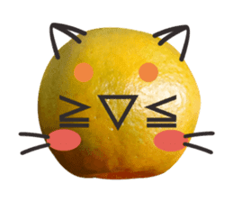 Orange Orange cat Of your oranges sticker #14020945