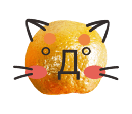 Orange Orange cat Of your oranges sticker #14020946