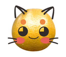 Orange Orange cat Of your oranges sticker #14020947