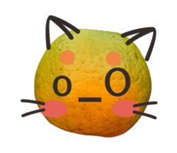 Orange Orange cat Of your oranges sticker #14020948
