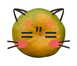 Orange Orange cat Of your oranges sticker #14020950