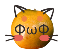 Orange Orange cat Of your oranges sticker #14020951
