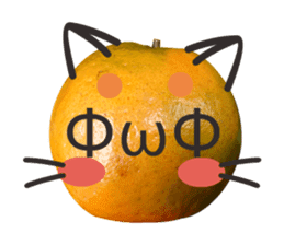 Orange Orange cat Of your oranges sticker #14020951