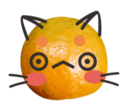 Orange Orange cat Of your oranges sticker #14020952