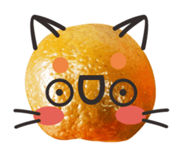 Orange Orange cat Of your oranges sticker #14020953
