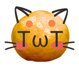 Orange Orange cat Of your oranges sticker #14020954