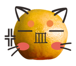 Orange Orange cat Of your oranges sticker #14020955