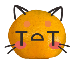 Orange Orange cat Of your oranges sticker #14020956