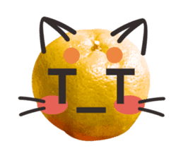 Orange Orange cat Of your oranges sticker #14020957