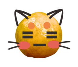 Orange Orange cat Of your oranges sticker #14020959